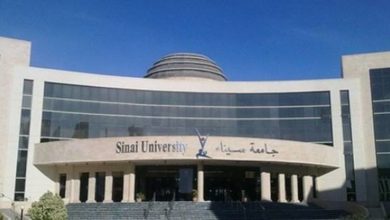 صورة منح جامعة شمال سيناء.. الشروط والأوراق المطلوبة للتقديم 2022