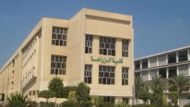 صورة كل ما تحتاج معرفته عن كلية الزراعة.. نظام الدراسة والتخصصات