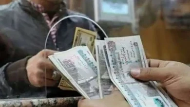 صورة موعد صرف زيادة مرتبات الموظفين.. اعرف زيادة مرتبات شهر يناير كام في المية؟