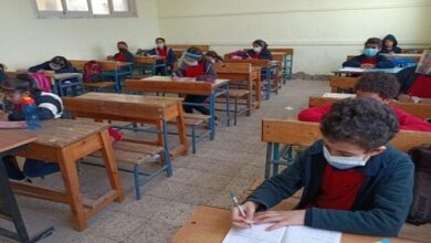 صورة اليوم.. انطلاق امتحانات شهر فبراير لجميع المراحل بالجيزة 2024  تنطلق