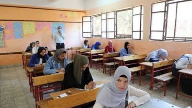 صورة احصل الآن.. رابط نتيجة الصف الثاني الثانوي2024 بمحافظة الجيزة
