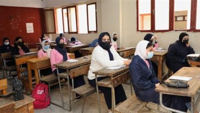 صورة تراجع نشاط شاومينج في امتحانات الثانوية العامة وسط تحذيرات الوزارة