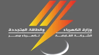 صورة «القابضة للكهرباء» تعلن قبول دفعة من الحاصلين على الإعدادية (الشروط والأوراق المطلوبة)