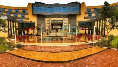صورة تعرف على مصروفات جامعة بدر بأسيوط وخطوات التقديم للعام الجامعي الجديد