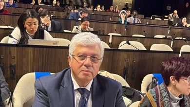 صورة وزير التعليم العالي في اليونسكو: الفلسطينيون يعانون بصورة غير مسبوقة