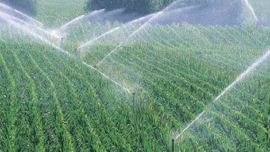 صورة بدء فعاليات المنتدى الدولي للزراعة الذكية بالقاهرة الاثنين المقبل