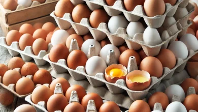 صورة أسعار البيض اليوم بالسوق المحلي.. اعرف التفاصيل