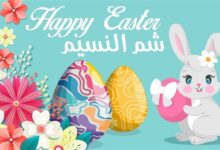 صورة عبارات تهنئة شم النسيم 2026.. أجمل رسائل التهاني والبوستات للاحتفال بالربيع