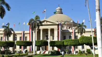 صورة جامعة القاهرة تطلق النشرة الدورية الثانية لبيوت الخبرة المدعومة بالذكاء الاصطناعي لتعزيز دعم السياسات العامة وصناعة القرار